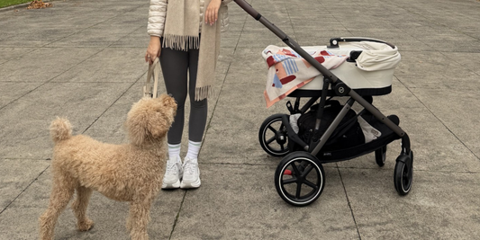 Why We Love the CYBEX Gazelle S & Coya