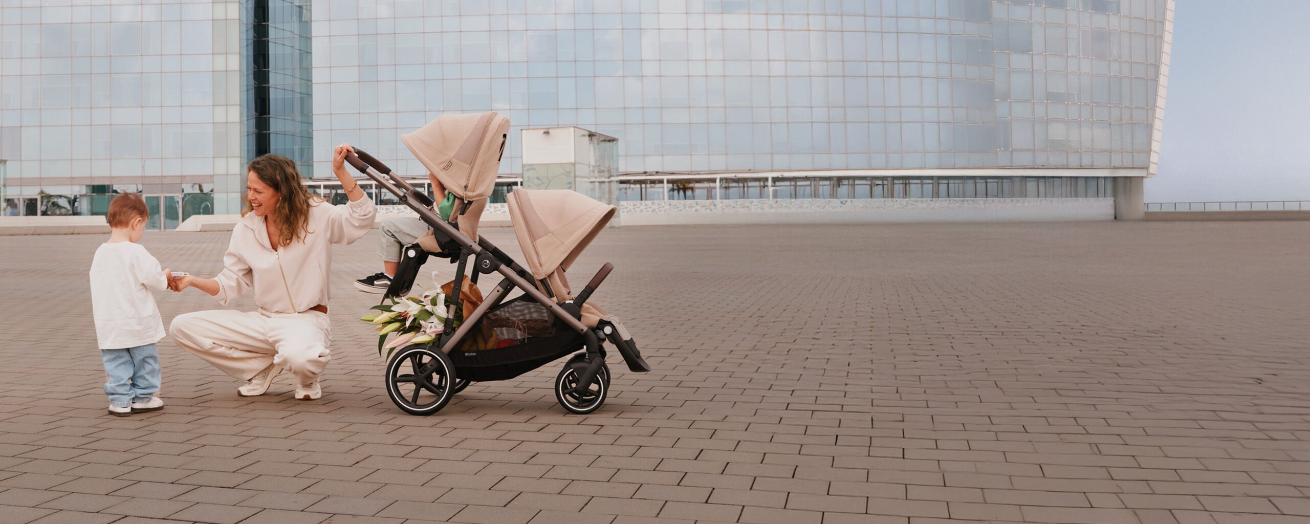 CYBEX e-Gazelle S, brought to you by Partners in Prime