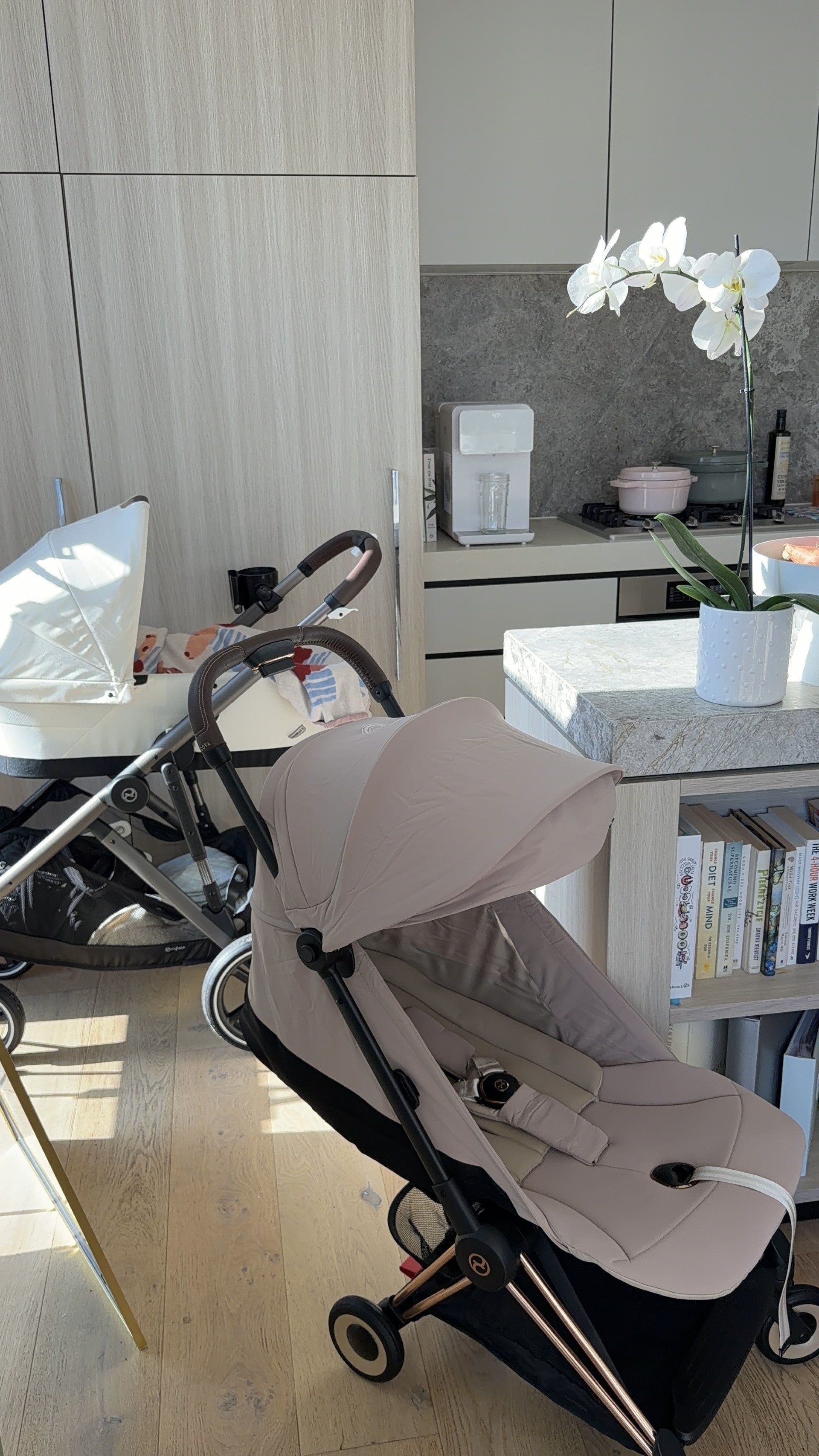 Why We Love the CYBEX Gazelle S & Coya